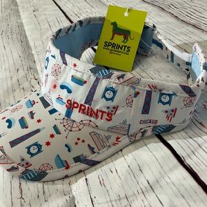 NWT Sprints Running Visor Chicago One Size